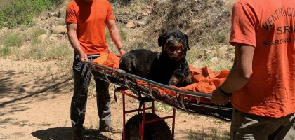 Rescatan a un perro herido en el campo gracias a la tecnología inReach® 