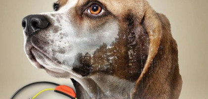 Garmin presenta la nueva gama de collares X para perros.