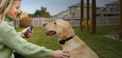 NUEVO SISTEMA DE ADIESTRAMIENTO PARA PERROS GARMIN DELTA® SE