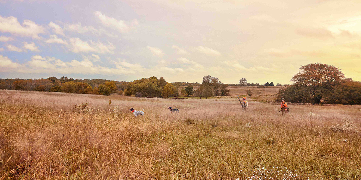 Alpha 10: El dispositivo de seguimiento y adiestramiento Garmin más ligero